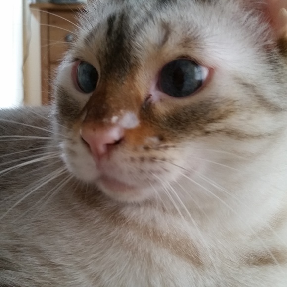 Meet the Posher! - Picture 3 of 8